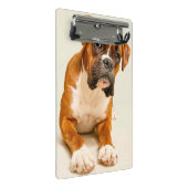 Boxerwelpe auf Elfenbeincremehintergrund Mini Klemmbrett (Schrägansicht)