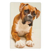 Boxerwelpe auf Elfenbeincremehintergrund Mini Klemmbrett (Rückseite)