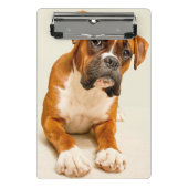 Boxerwelpe auf Elfenbeincremehintergrund Mini Klemmbrett (Vorderseite)