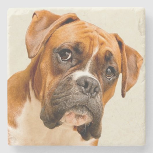 Boxerwelpe auf Elfenbeincremehintergrund Steinuntersetzer (Vorderseite)