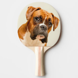 Boxerwelpe auf Elfenbeincremehintergrund Tischtennis Schläger