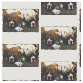 Boxerwelpe Gewohnheits-Gewebe Stoff (Nahaufnahme)