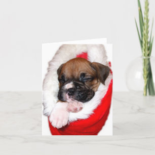 Boxerwelpe in WeihnachtsStrumpf notecard Feiertagskarte