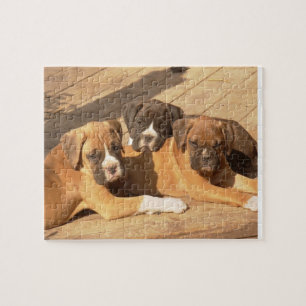 Boxerwelpen 8x10 Foto-Puzzlespiel mit Zinn Puzzle