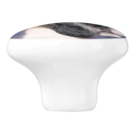 Boxerwelpen-Fachgriff Keramikknauf (Seitenansicht)