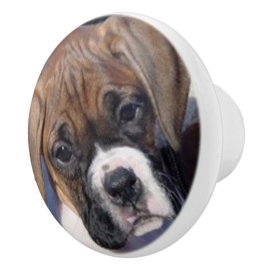 Boxerwelpen-Fachgriff Keramikknauf (Rechts)