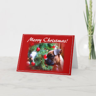 Boxerwelpen-Grußkarte der frohen Weihnachten