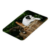 Boxerwelpen im Korb Magnet (Linke Seite)