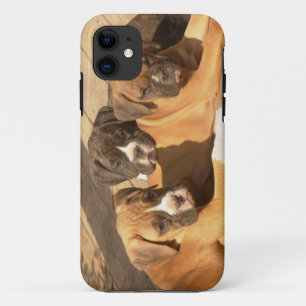 Boxerwelpen iPhone 5 kaum dort universeller Fall Case-Mate iPhone Hülle