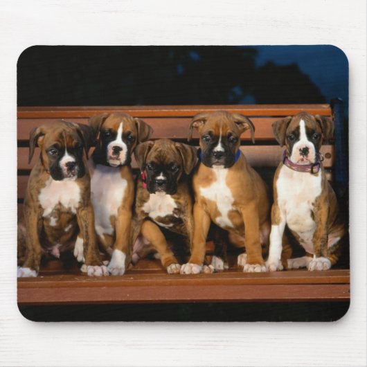 Boxerwelpen-Mausunterlage Mousepad (Vorne)