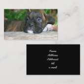 Boxerwelpen-Visitenkarten Visitenkarte (Vorne/Hinten)