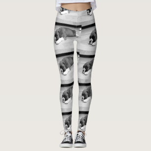 Boxerwelpenschwarzweiss-HundeLeggings Leggings