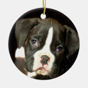 Boxerwelpenverzierung Keramikornament