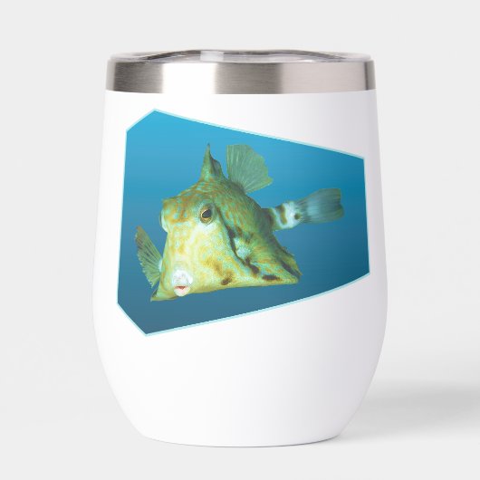 Boxfish - Designgradientenblauer Hintergrund | (Rückseite)