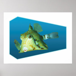 Boxfish - Designgradientenblauer Hintergrund   Poster