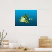 Boxfish Nah-up! Gradient-blauer Hintergrund | Poster (Küche)