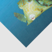 Boxfish Nah-up! Gradient-blauer Hintergrund | Seidenpapier (Ausschnitt)