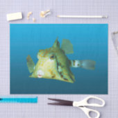 Boxfish Nah-up! Gradient-blauer Hintergrund | Seidenpapier (Handwerk)