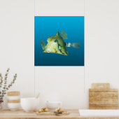 Boxfish Nahaufnahme! Farbverlauf blauer Hintergrun Poster (Küche)