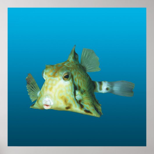 Boxfish Nahaufnahme! Farbverlauf blauer Hintergrun Poster (Vorne)