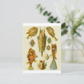 Boxfish oder Cowfish Postkarte (Stehend Vorderseite)