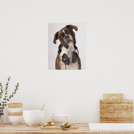 Boxhund mit Kopfhörer Poster (Küche)