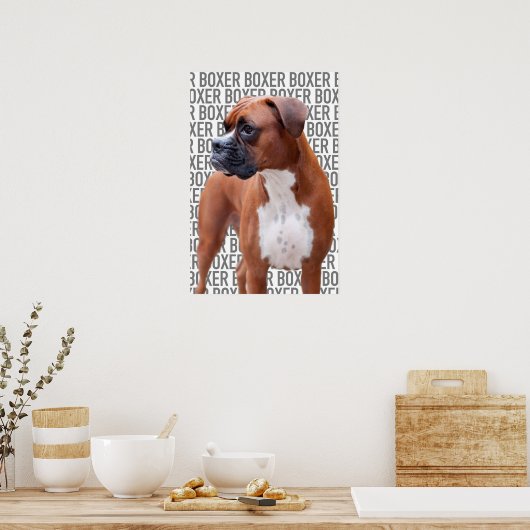Boxhund Poster (Küche)