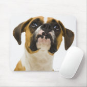 Boxhund sucht nach mousepad (Mit Mouse)