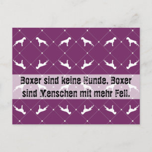 Boxhunde Postkarte