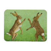 Boxing Clever Magnet (Horizontal)