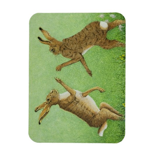 Boxing Clever Magnet (Vertikal)