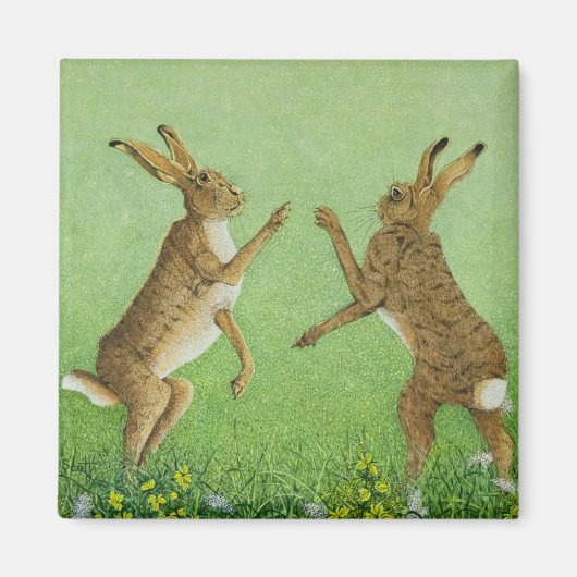 Boxing Clever Magnet (Vorne)