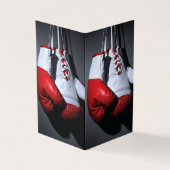 Boxing gloves (Vorderseite)