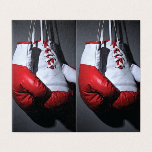 Boxing gloves (Außenseite Aufgefaltet)