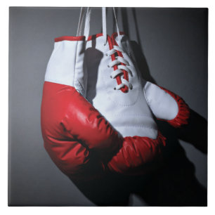 Boxing gloves  fliese