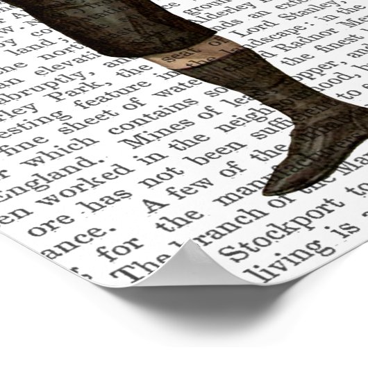 Boxing Hare Poster (Ecke)