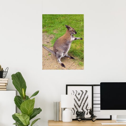 Boxing Kangaroo, Poster (Heimbüro)
