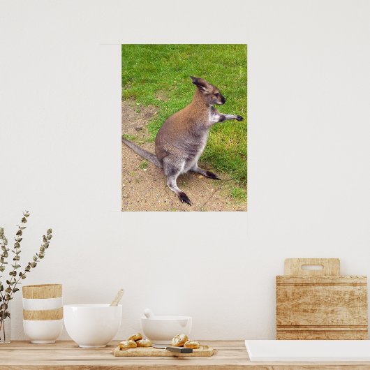 Boxing Kangaroo, Poster (Küche)