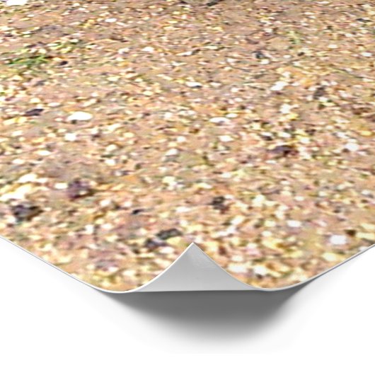 Boxing Kangaroo, Poster (Ecke)