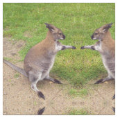 Boxing Kangaroos Fabric Stoff (Nahaufnahme)