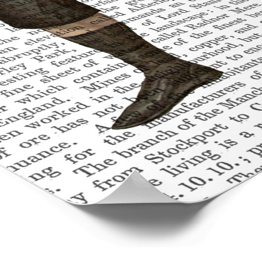 Boxschiff Bulldog Full Poster (Ecke)