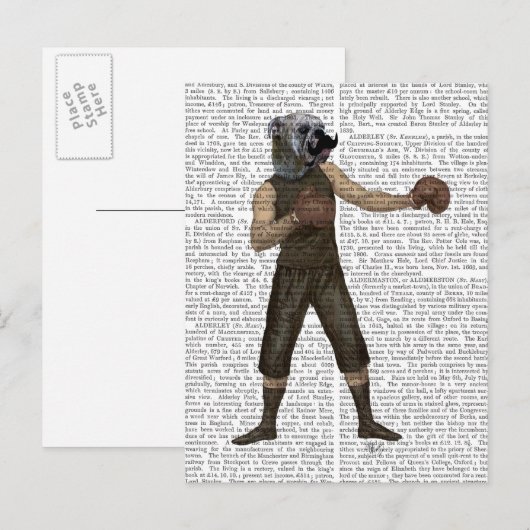 Boxschiff Bulldog Full Postkarte (Vorne/Hinten)