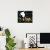 Boxziege und Katzenportrait Plakatwerbung Poster (Heimbüro)