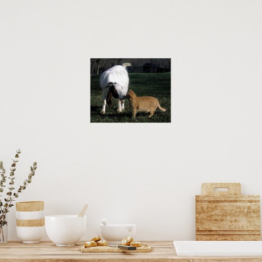 Boxziege und Katzenportrait Plakatwerbung Poster (Küche)