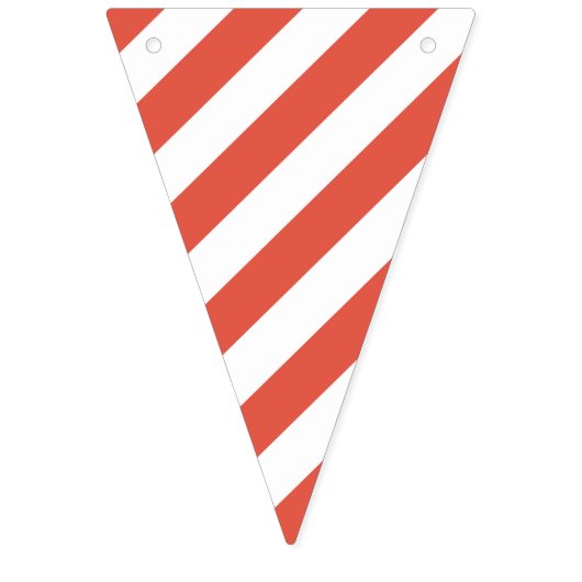 Boy Birthday - Pirate - Banner auf der Jagd (Erste Fahne)