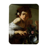 Boy Bitten von einer Lizard, c.1595-1600 (Öl auf L Magnet (Vertikal)