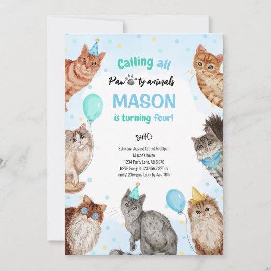 Boy Cat Pawty Animals Geburtstag Einladung (Vorderseite)