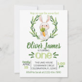 Boy Green First Birthday Oster Wasserfarben Bunny Einladung (Vorderseite)