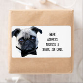 Boy Mops Shipping Labels (Insitu)