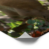 Boy Named Sue Poster (Ecke)